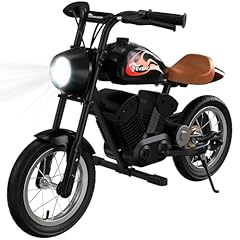 Evercross ev08m motocicletta usato  Spedito ovunque in Italia 