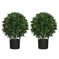 Gonuien outdoor evergreens for sale  Delivered anywhere in USA 