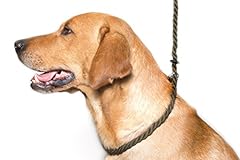 gun dog slip leads for sale  Delivered anywhere in UK