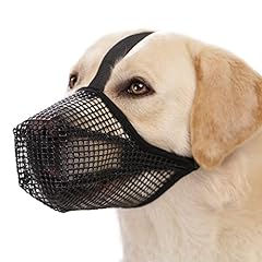 Crazy felix dog for sale  Delivered anywhere in USA 