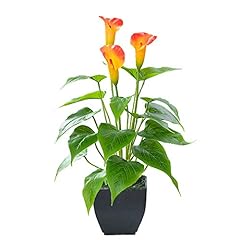 Artificial flower plants for sale  Delivered anywhere in USA 