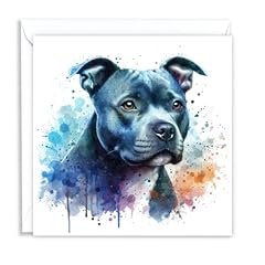 Staffordshire bull terrier for sale  Delivered anywhere in UK