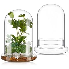 Perthlin pcs glass for sale  Delivered anywhere in USA 