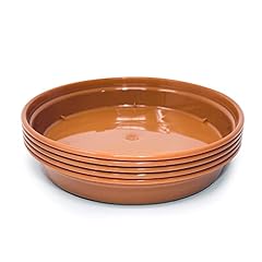 Winsome pack terracotta for sale  Delivered anywhere in UK