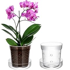 Baderke piece orchid for sale  Delivered anywhere in USA 