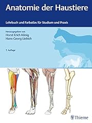 Anatomie haustiere lehrbuch gebraucht kaufen  Wird an jeden Ort in Deutschland