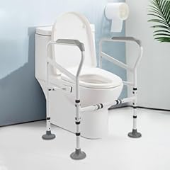 Handlauf toilettengestell toil gebraucht kaufen  Wird an jeden Ort in Deutschland
