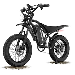 Bigniu electric bike for sale  Delivered anywhere in USA 