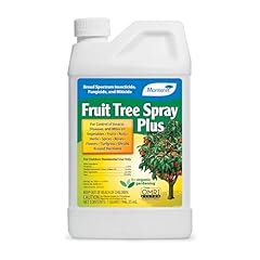 Monterey fruit tree for sale  Delivered anywhere in USA 