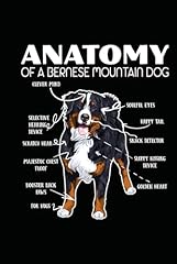 Anatomy bernese mountain for sale  Delivered anywhere in UK