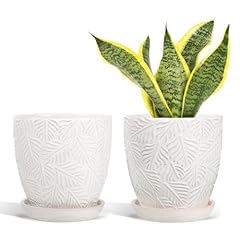 Litudiso inch ceramic for sale  Delivered anywhere in USA 