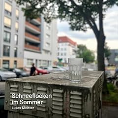 Schneeflocken sommer gebraucht kaufen  Wird an jeden Ort in Deutschland