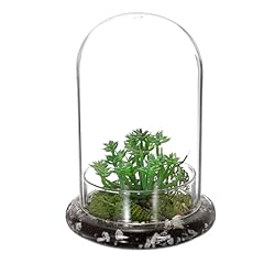 Ganazi mini pflanzenterrarium gebraucht kaufen  Wird an jeden Ort in Deutschland