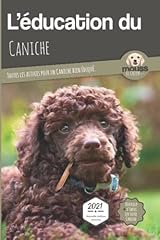 caniche nain gris d'occasion  Livré partout en France