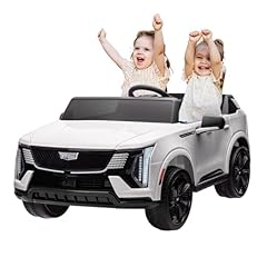 Garveelife 24v seater for sale  Delivered anywhere in USA 