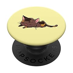 Cute tortoiseshell kitten for sale  Delivered anywhere in USA 