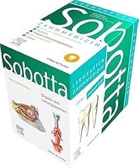 Sobotta lernkarten zahnmedizin gebraucht kaufen  Wird an jeden Ort in Deutschland