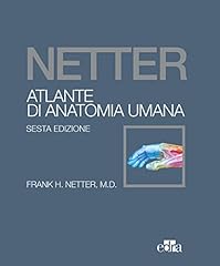 Netter atlante anatomia usato  Spedito ovunque in Italia 