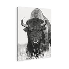 Gengsheng american bison for sale  Delivered anywhere in USA 