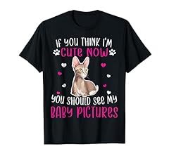 Oriental kitten think for sale  Delivered anywhere in USA 