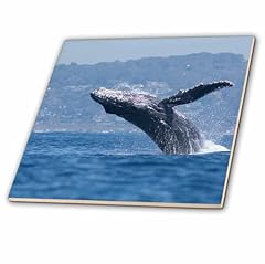Inch ceramic tile for sale  Delivered anywhere in USA 