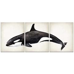 Akbok killer whale for sale  Delivered anywhere in USA 
