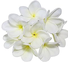 Lot tiges fleurs d'occasion  Livré partout en France