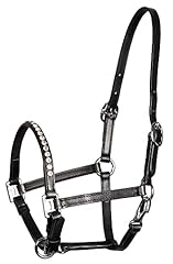 Amesbichler reitsport fohlenha gebraucht kaufen  Wird an jeden Ort in Deutschland