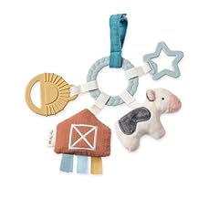 Itzy ritzy teething for sale  Delivered anywhere in USA 
