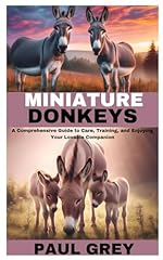 Miniature donkeys comprehensiv for sale  Delivered anywhere in UK