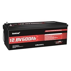 12v 600ah lifepo4 for sale  Delivered anywhere in USA 