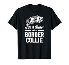 Cane border collie usato  Spedito ovunque in Italia 