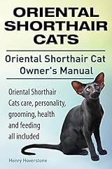 Oriental shorthair cats. for sale  Delivered anywhere in USA 