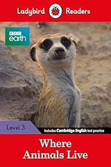 Ladybird readers level usato  Spedito ovunque in Italia 
