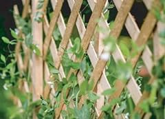 Expanding wooden trellis for sale  Delivered anywhere in UK