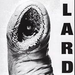 Power lard vinyl for sale  Delivered anywhere in UK