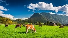 Adrium aluverbund bild gebraucht kaufen  Wird an jeden Ort in Deutschland