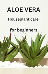 Aloe vera houseplant for sale  Delivered anywhere in USA 