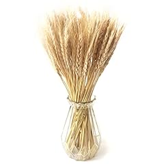 100spighe grano fiori usato  Spedito ovunque in Italia 