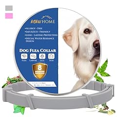 Koku home collier d'occasion  Livré partout en France