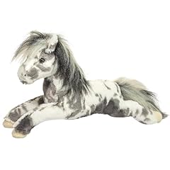 Douglas starsky appaloosa for sale  Delivered anywhere in USA 