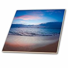 3drose 205754 sunset for sale  Delivered anywhere in USA 