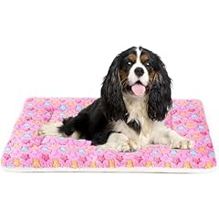 Mora pets dog for sale  Delivered anywhere in USA 