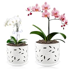 Buymax set orchid for sale  Delivered anywhere in USA 