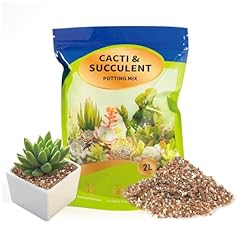 Gotvuge succulent cactus for sale  Delivered anywhere in UK