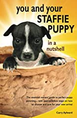 Staffie puppy nutshell for sale  Delivered anywhere in UK