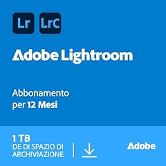 Adobe lightroom incl. usato  Spedito ovunque in Italia 