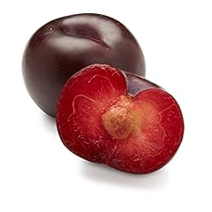 Organic black plum for sale  Delivered anywhere in USA 