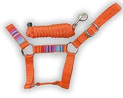 Halterup miniature donkey for sale  Delivered anywhere in USA 