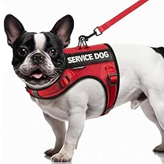 Fayogoo service dog for sale  Delivered anywhere in USA 
